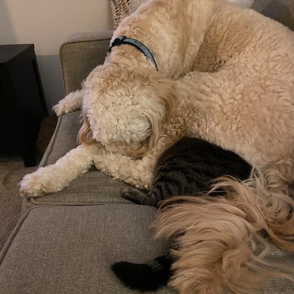 Meet your Posher, Kim - Picture 10 of 16